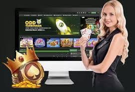 017bet7